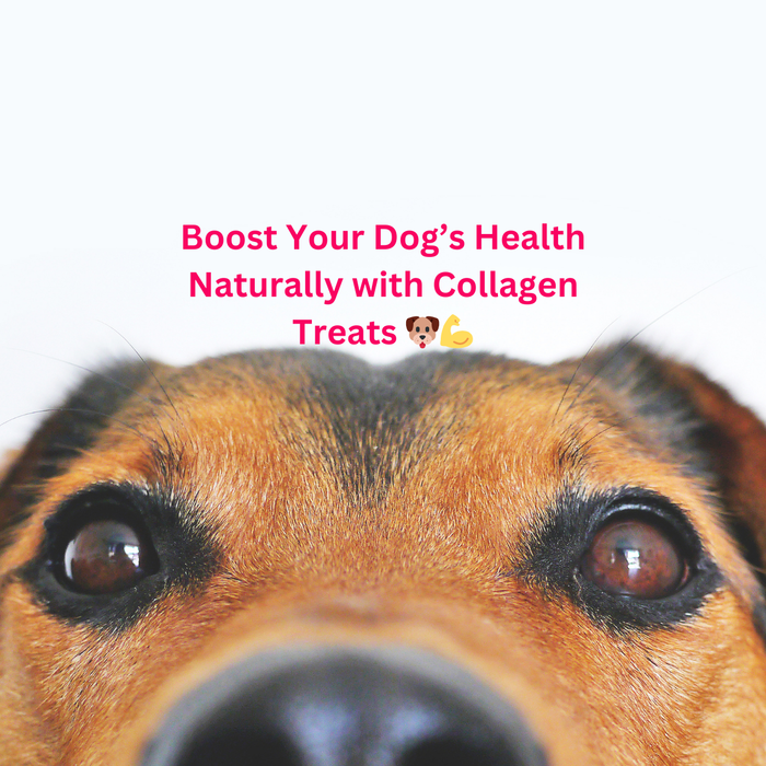 Boost Your Dog’s Health Naturally with Collagen Treats 🐶💪