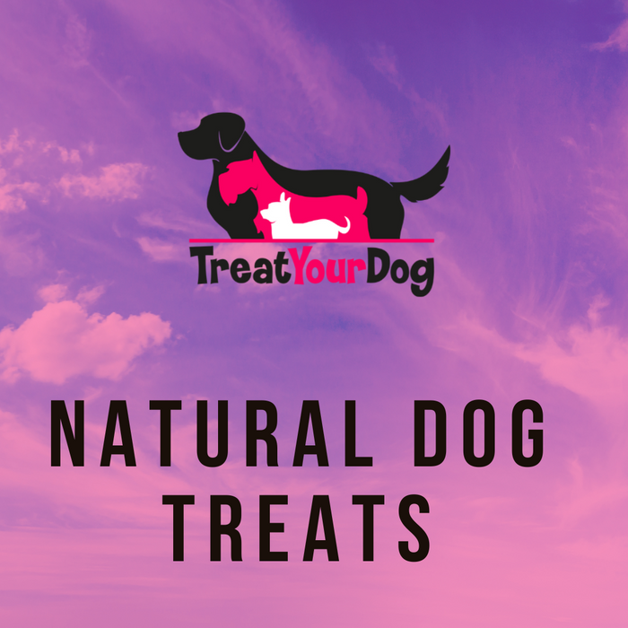 Treat Your Dog - The Ultimate Guide to Dog Treats