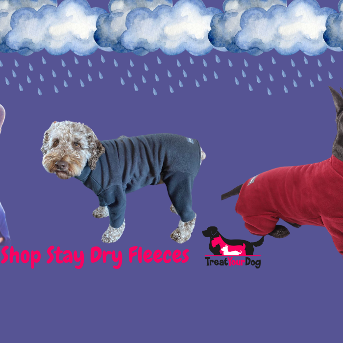 Keep Your Dog Warm, Dry, and Clean with the Walksters Stay Dry Body Fleece