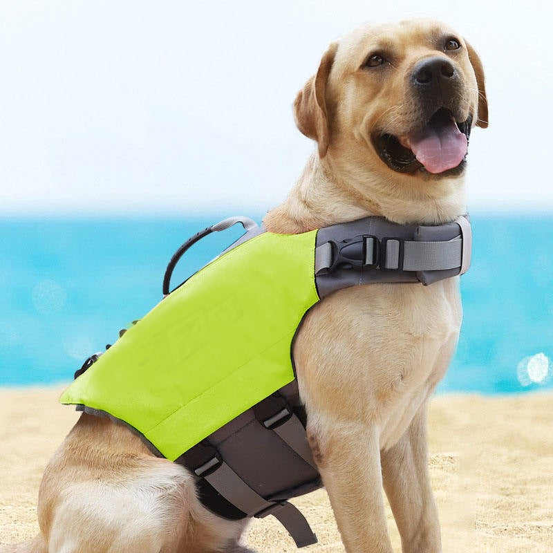 How to choose the best life jacket size for your dog — Treat Your Dog