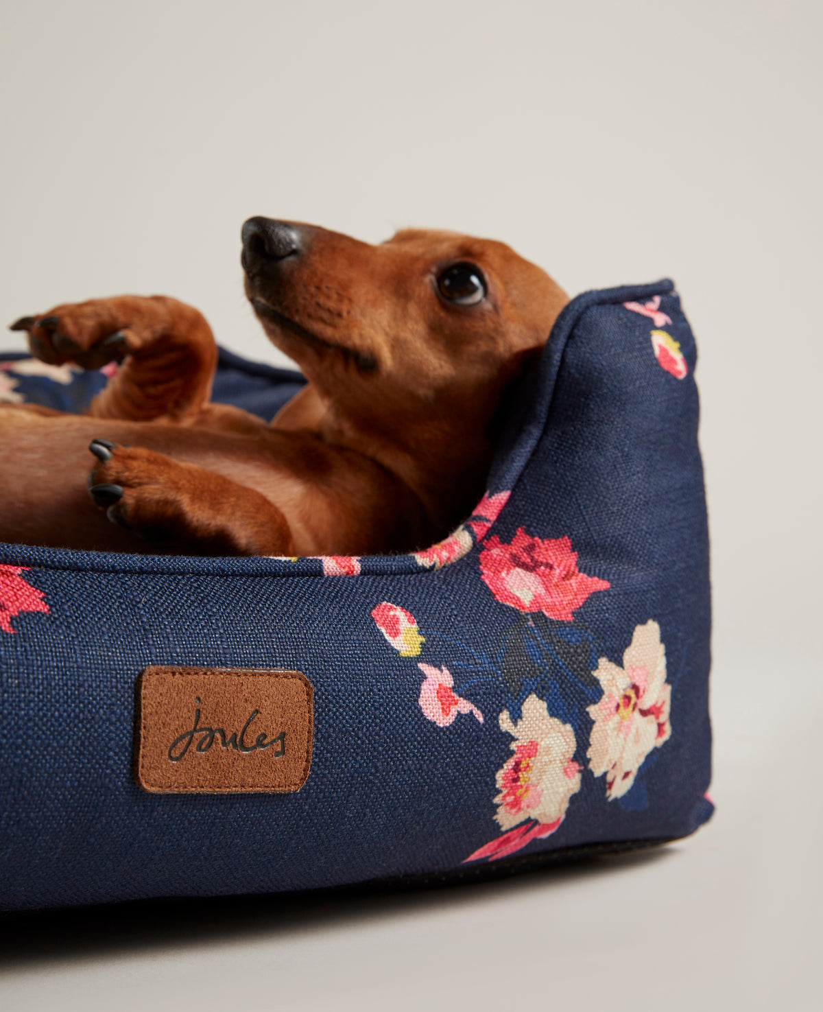 Dog beds on deals clearance