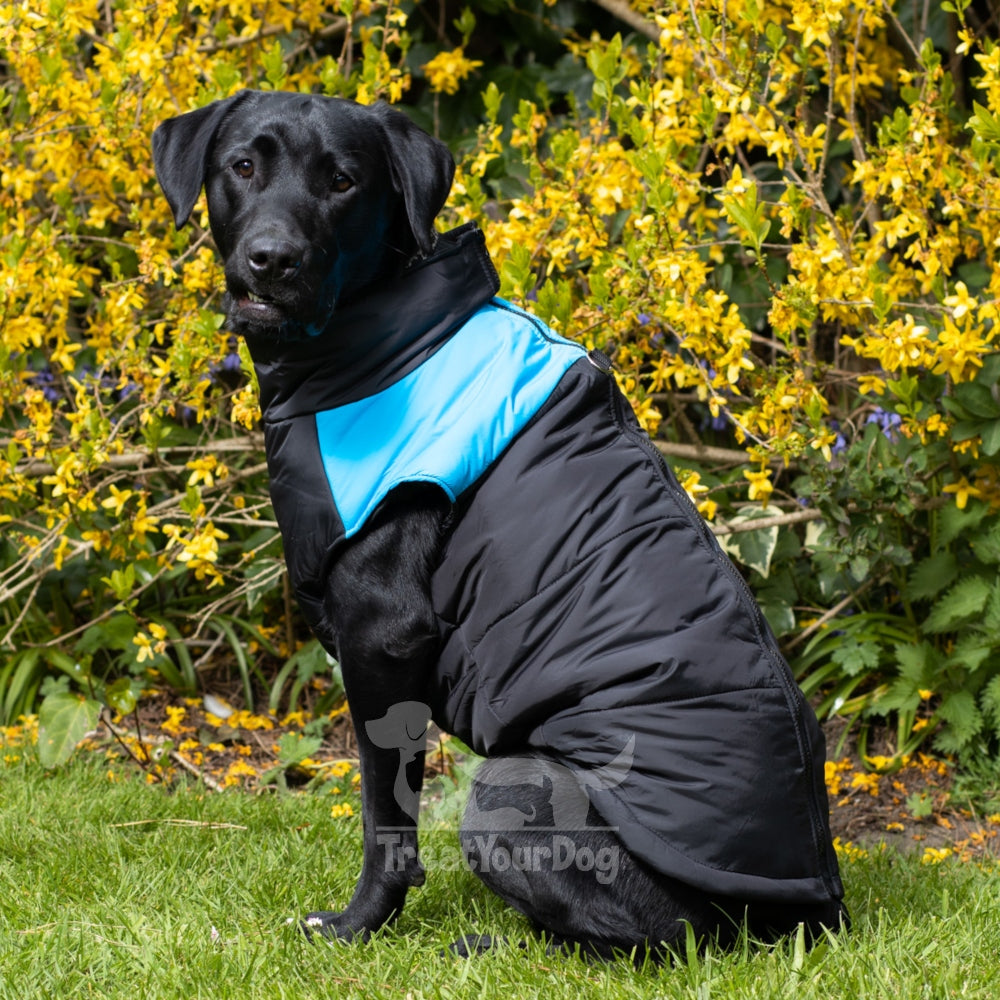 Walksters Fleece Lined Waterproof Dog Coat in Blue