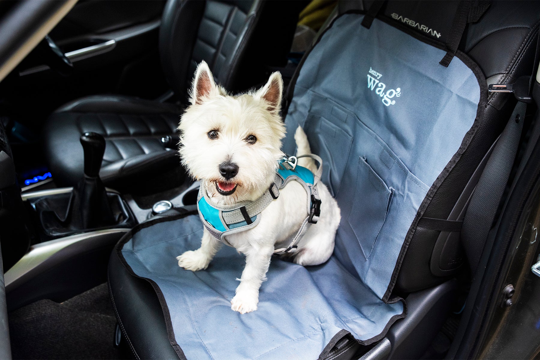 Henry Wag Single Car Seat Cover