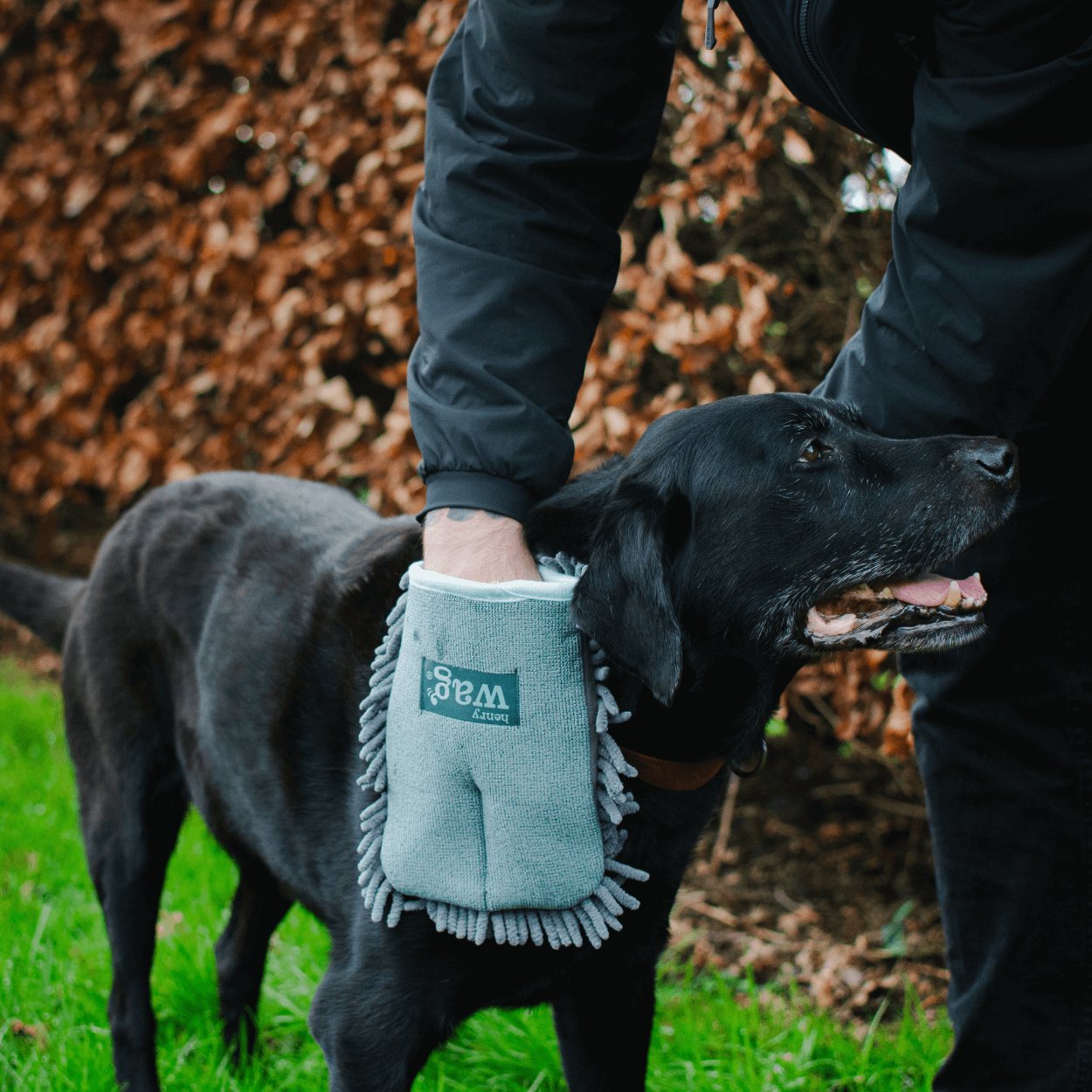 Microfibre Pet Drying Glove for Dogs by Henry Wag