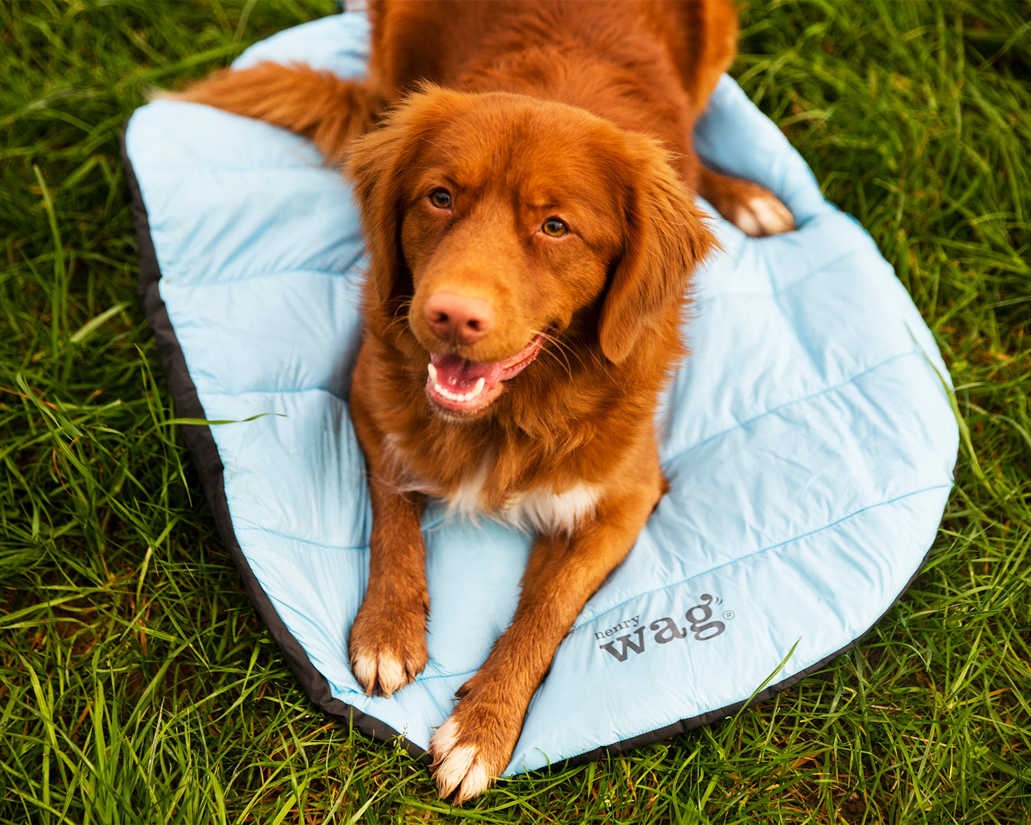 Henry Wagg Alpine Travel Snuggle Bed