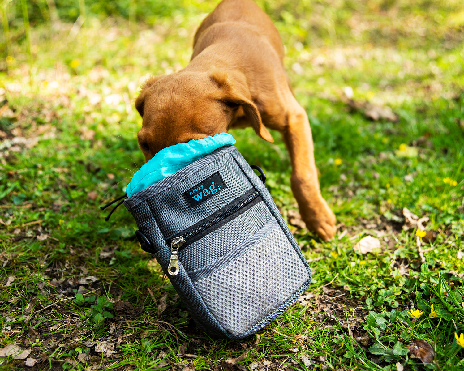 Henry Wag Pet Treat Travel Bag