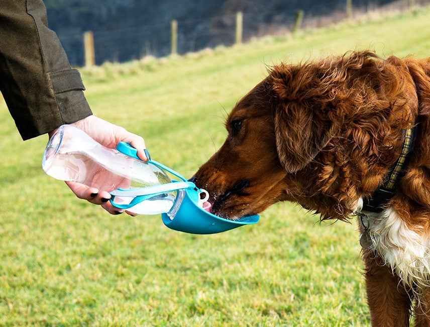 Pet Water Bottle With Leaf Bowl