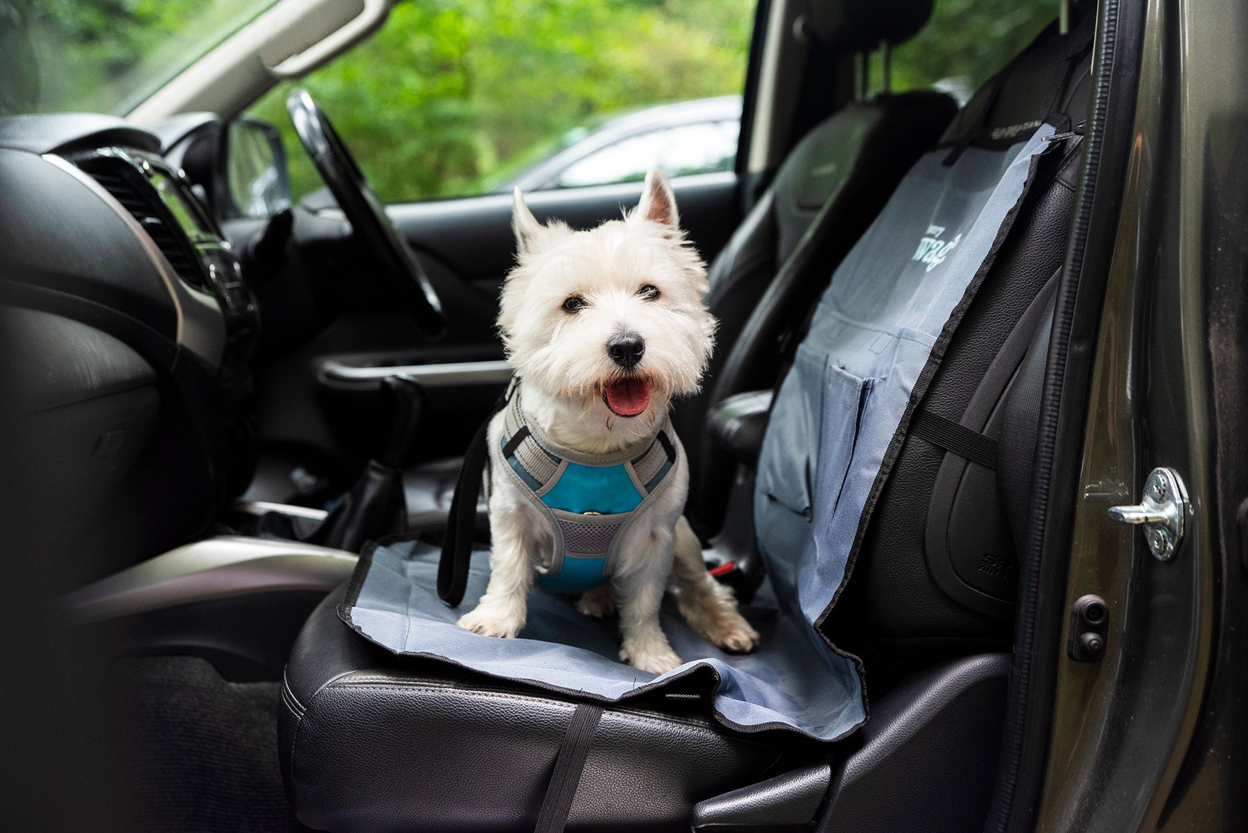 Henry Wag car Seat Protector