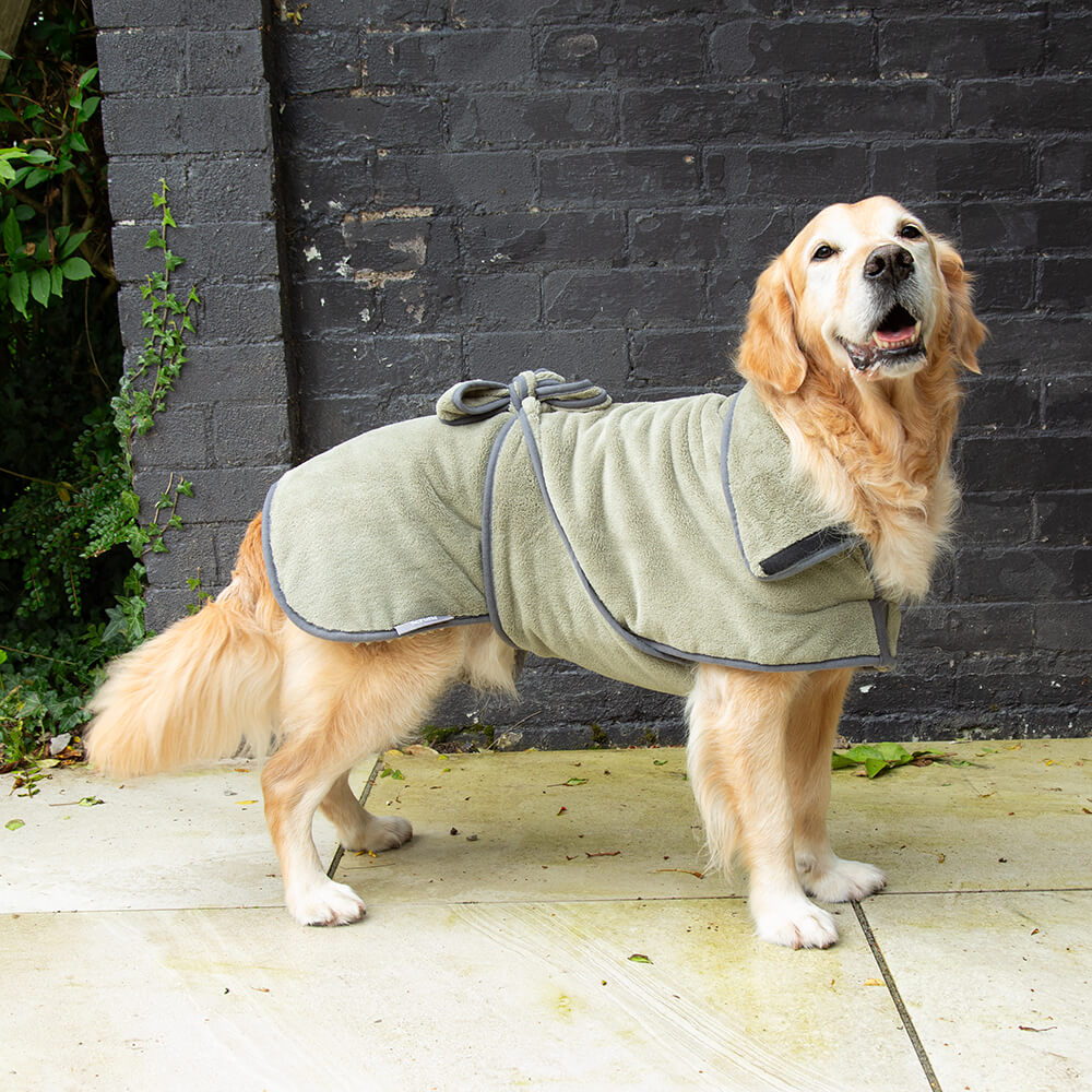 Scruffs Noodle & Microfibre Dog Drying Coat