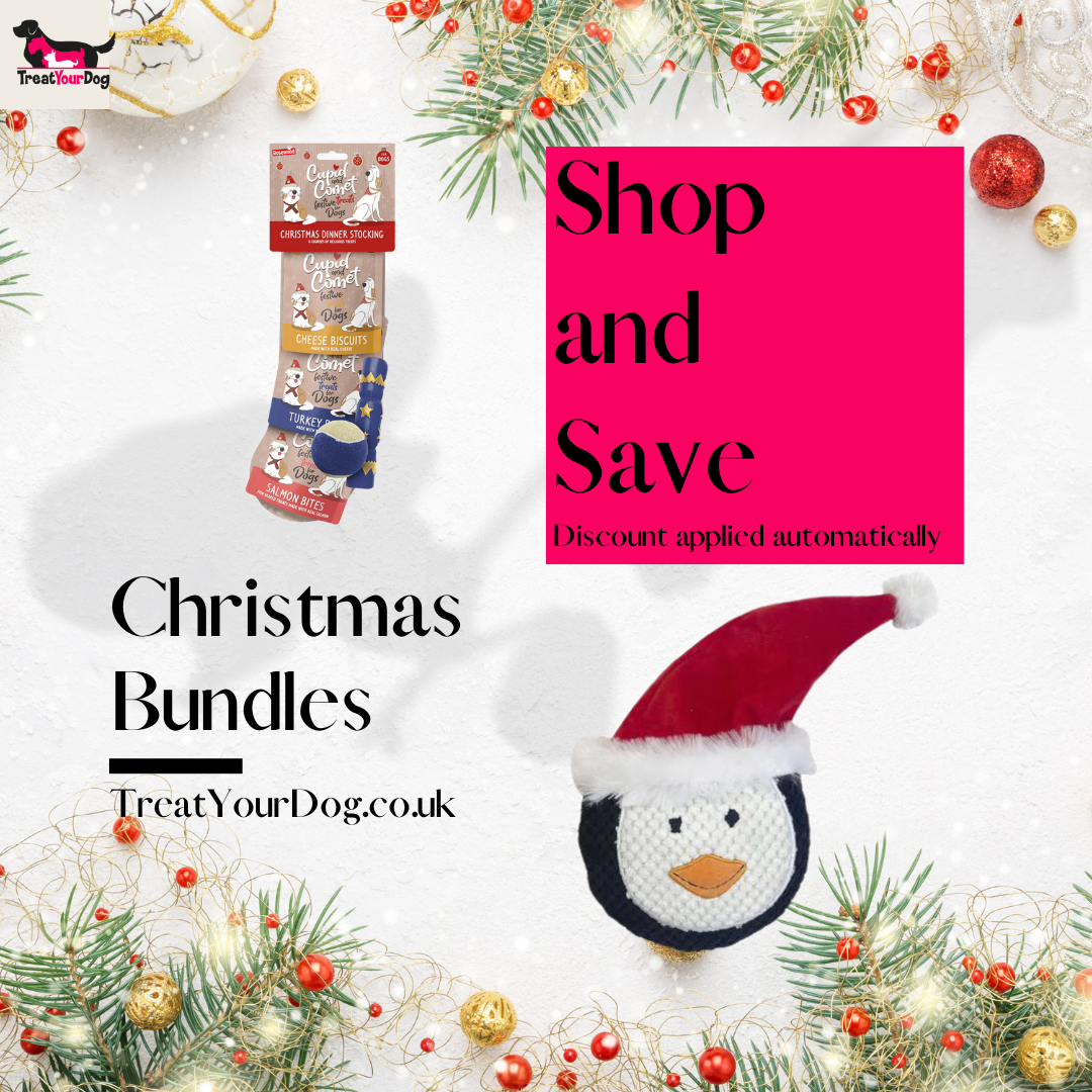 Christmas Stocking + Penguin Bundle