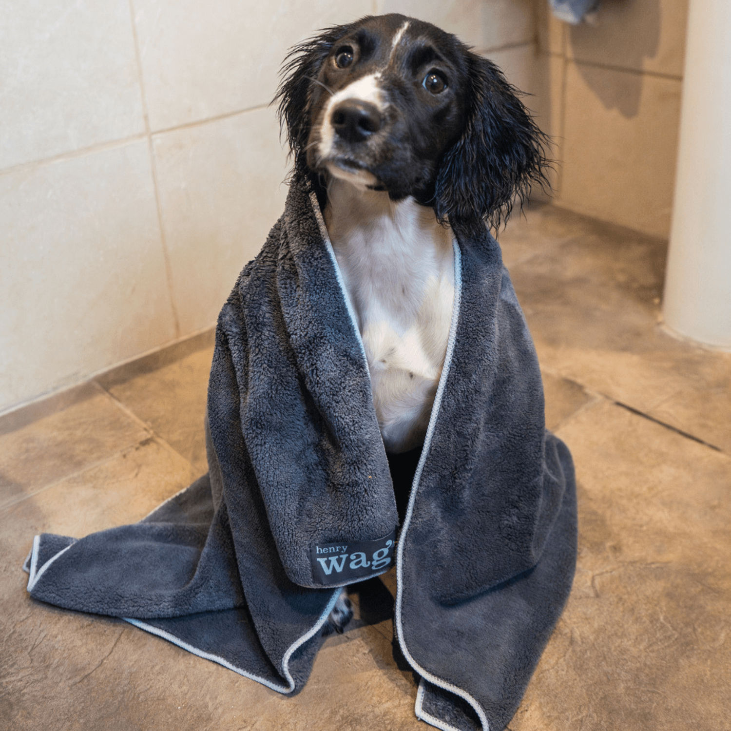 Microfibre Pet Dog Cleaning & Drying Towel