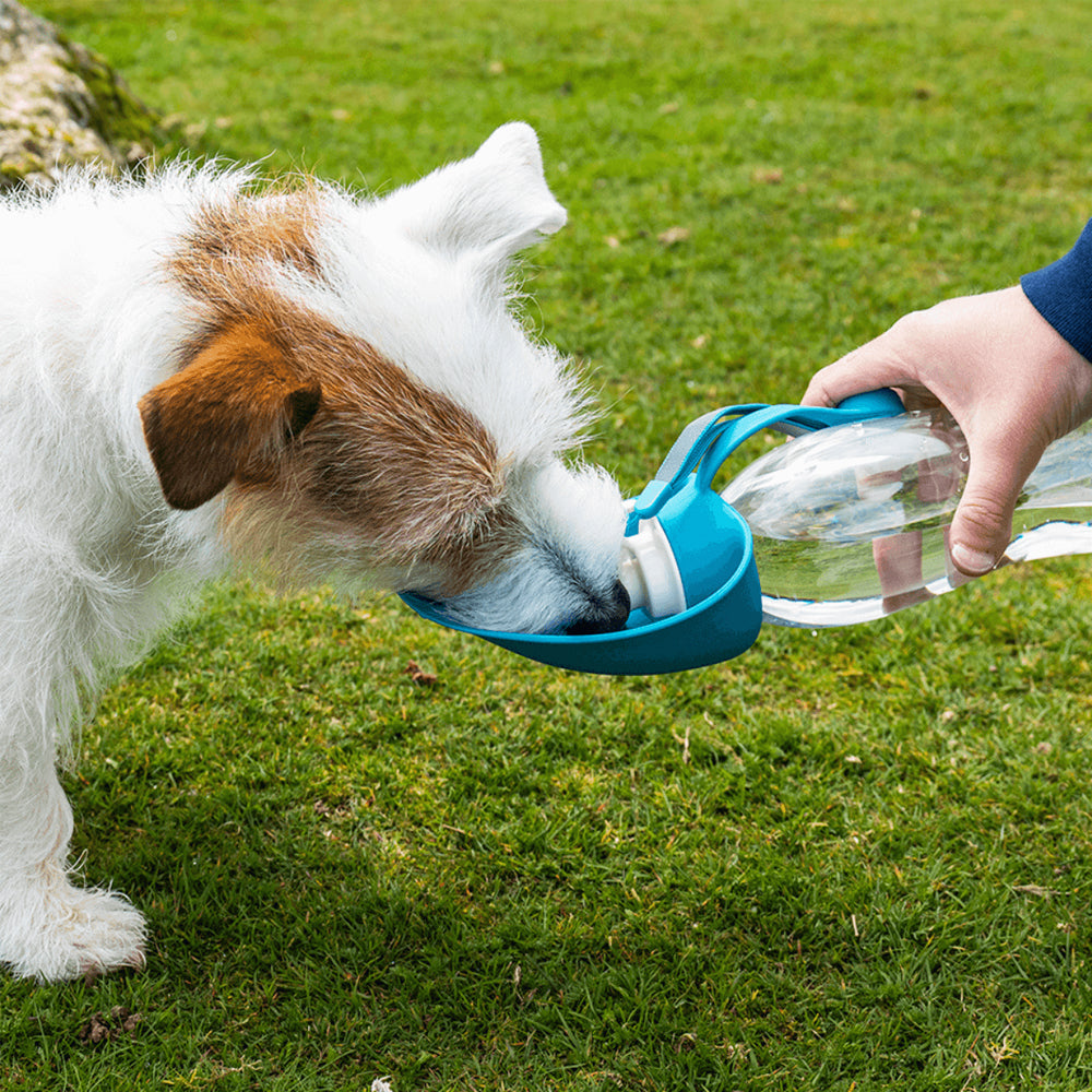 Pet Water Bottle With Leaf Bowl