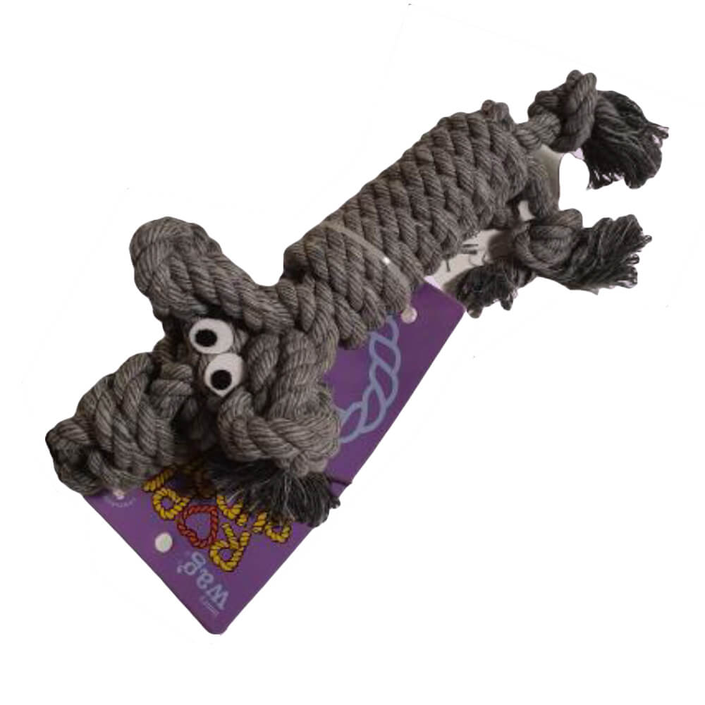 Henry Wag Rope Buddy - Humphrey Dog