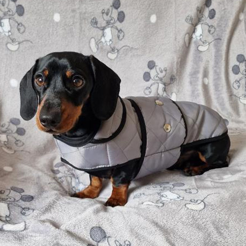 Waterproof Dog Coats :: UK Dog Coat Specialists :: Treat Your Dog