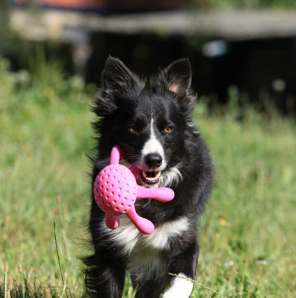 Kiwi Walker Octopus - Pink