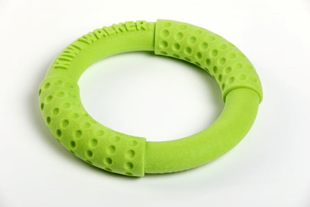 Kiwi Walker Ring - Lime