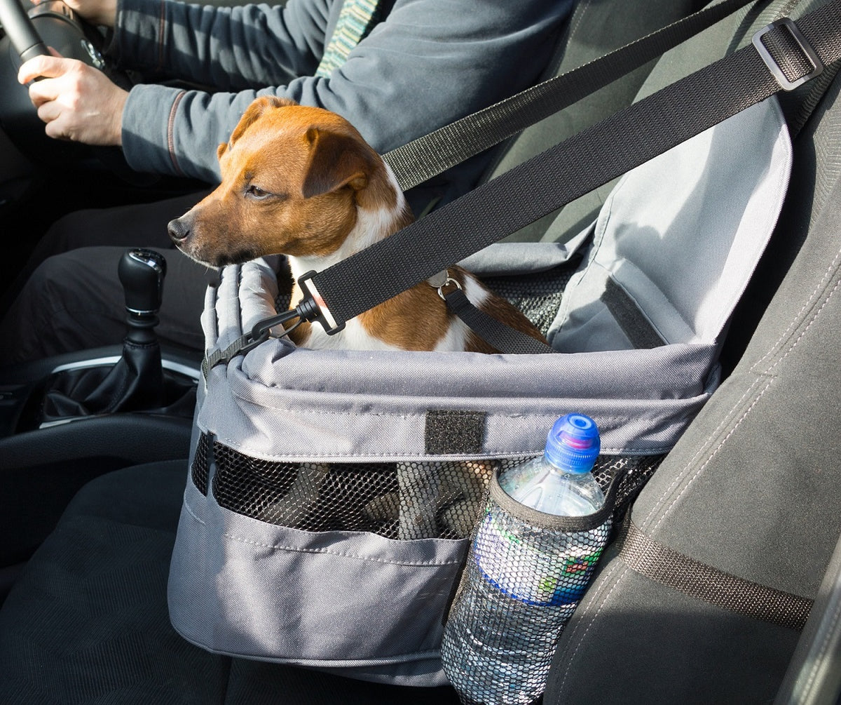 Me and my shop pets car booster seat