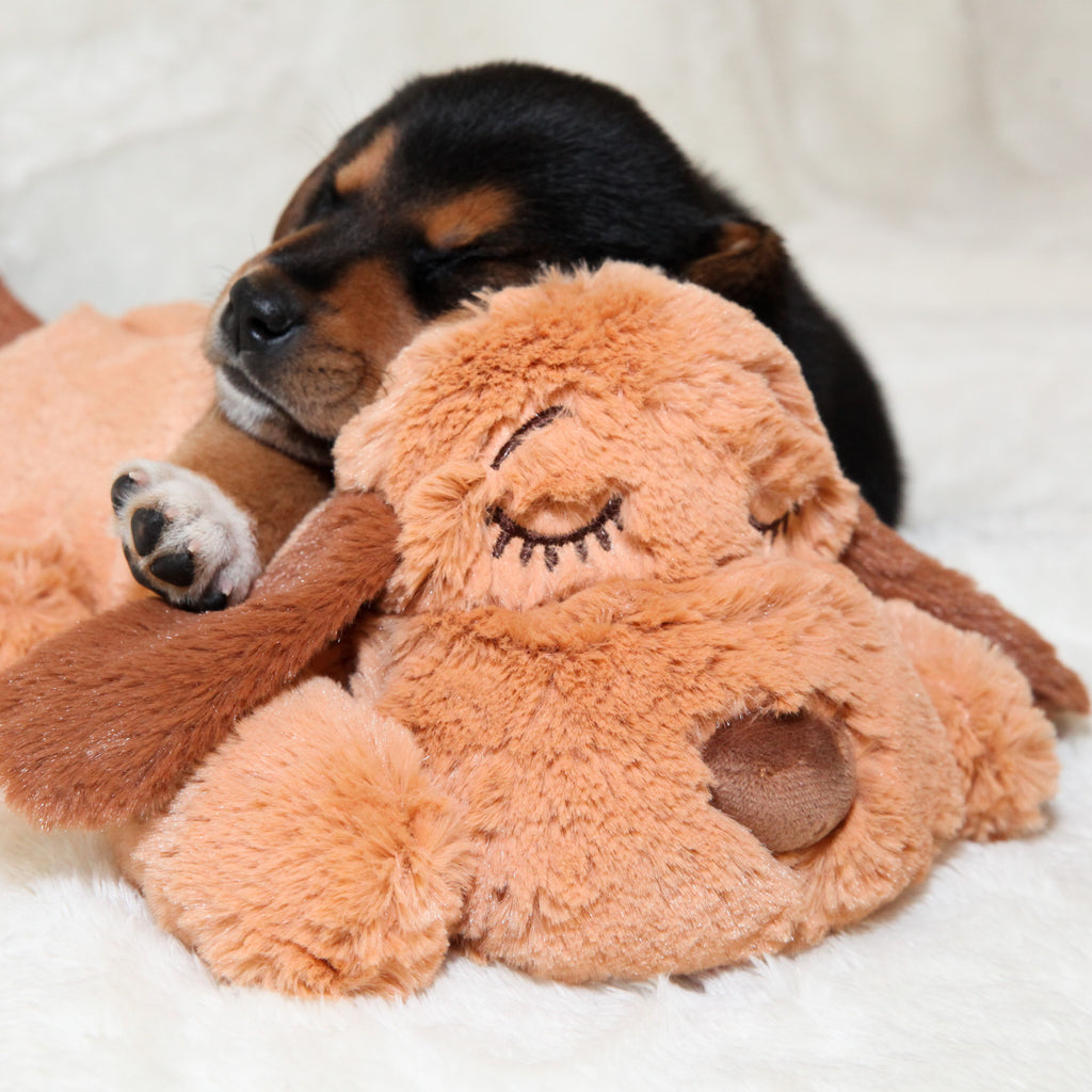 Stuffed animal with hot sale heartbeat for puppies